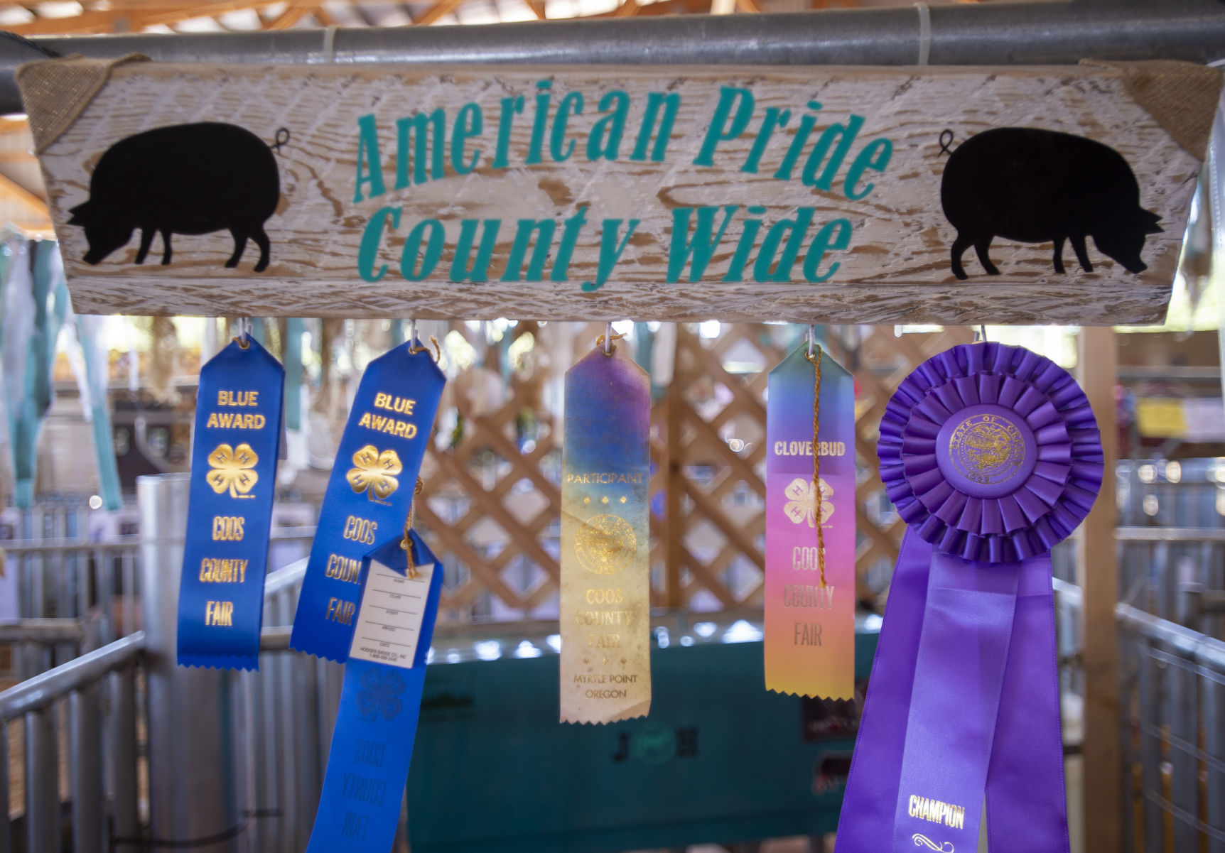 Coos County Fair